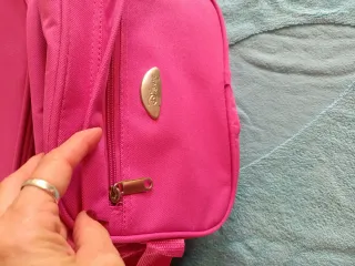 Juego de maletas infantil Disney rosa