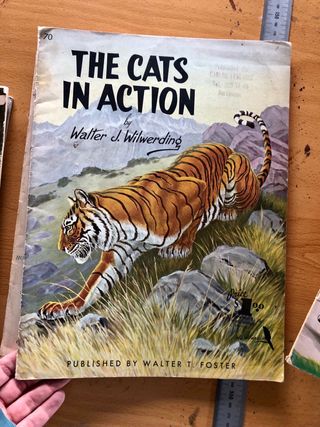 Lote de 15 cuadernos técnicas pintura y dibujo