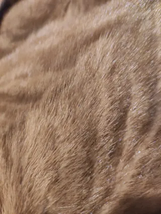 Abrigo de pelo auténtico marrón