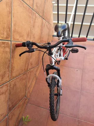 Bicicleta 18" (6-9 años)