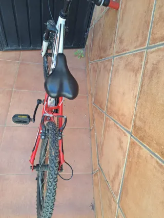 Bicicleta 18" (6-9 años)