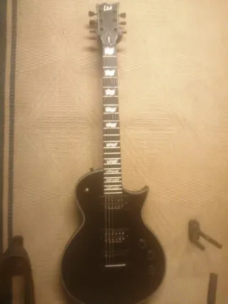 Guitarra ltd256 (sin pastillas)