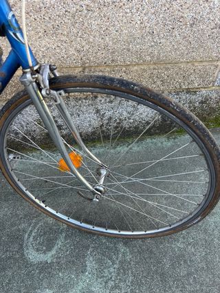 Bicicleta Orbea Clásica