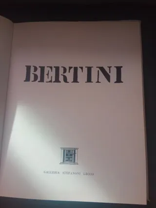 Bertini - Libro d'arte