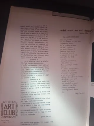 Bertini - Libro d'arte