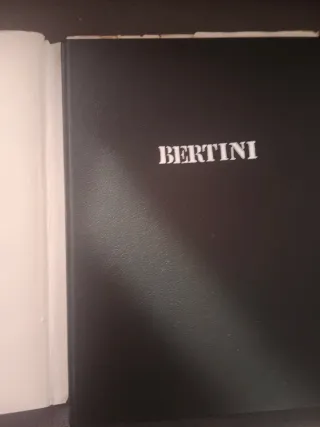 Bertini - Libro d'arte