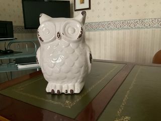 Civetta portafortuna in ceramica lucida
