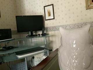 Civetta portafortuna in ceramica lucida