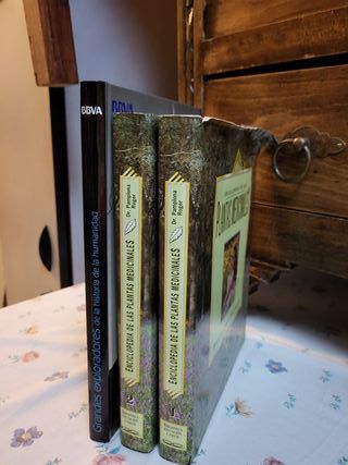 ENCICLOPEDIA DE LOS ALIMENTOS/PLANTAS MEDICINALES