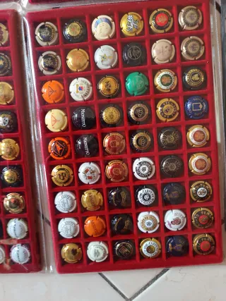 Lotto 300 capsule bevande famose