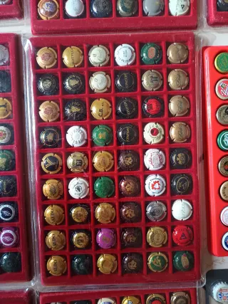 Lotto 300 capsule bevande famose