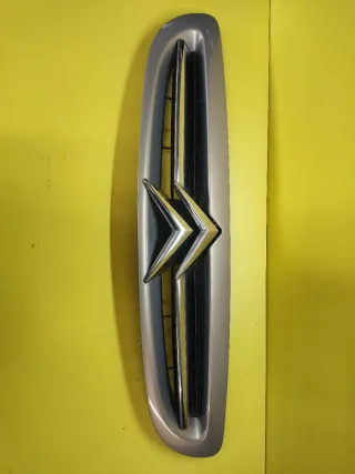 CALANDRA DELANTERA CITROEN XSARA II Marron claro