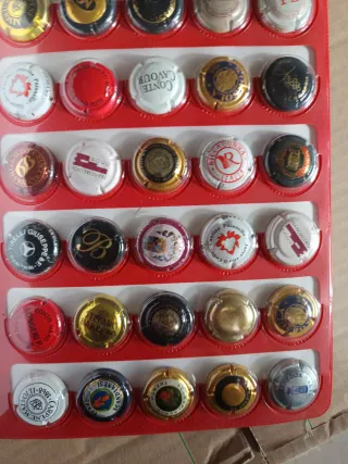 Album tappi champagne + scatola + di 150 pezzi