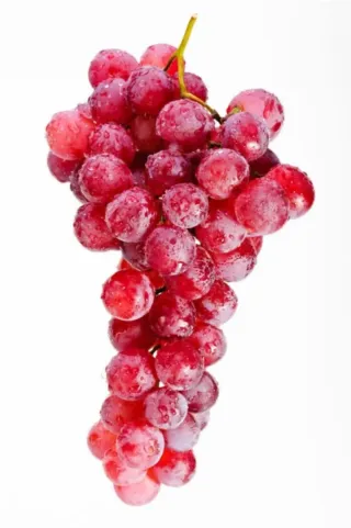 Parras de uvas sin semillas