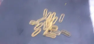 Tensores para camping