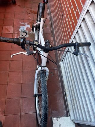 Bicicleta de Montaña INDUR Blanca