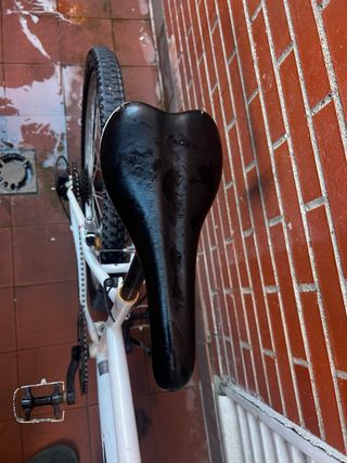 Bicicleta de Montaña INDUR Blanca