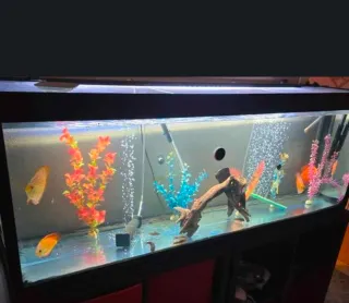 Acuario 300L Seminuevo