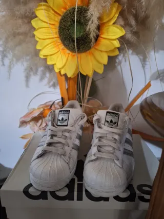 Adidas Superstar  36