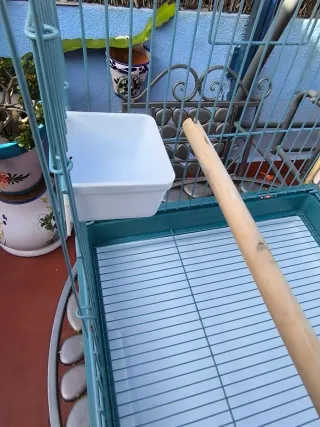 Jaula Moly Reforzada Loros Grande