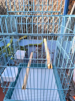 Jaula Moly Reforzada Loros Grande