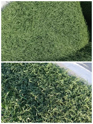 Venta césped artificial