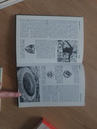 Fútbol de la "A" a la "Z"