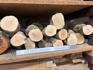 Madera de Boj Buxus de todo tipo