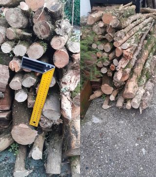 Madera de Boj Buxus de todo tipo