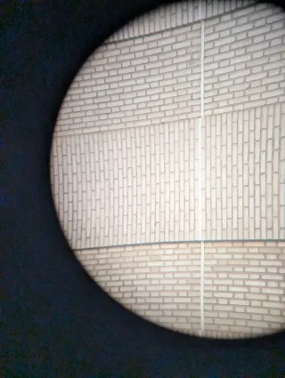 Prismáticos Carl Zeiss 8x30 Original