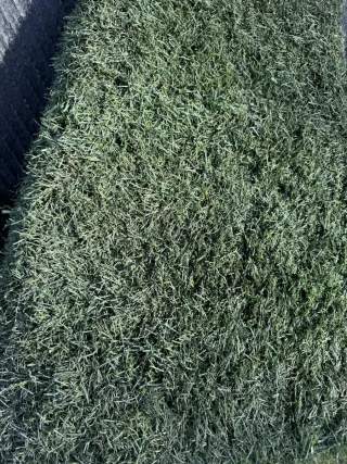 Césped artificial verde