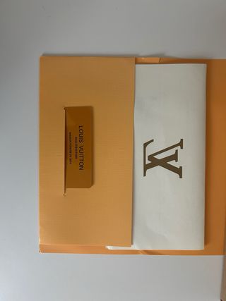 Louis Vuitton Skate Zapatillas Negras Blancas