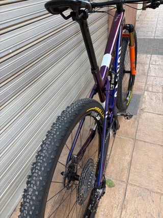 Canyon Lux  CFR World Cup M