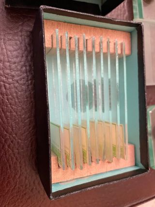 Portaobjetos microscopio y triquinoscopio