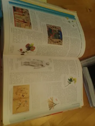 Medicina alternativa libro de terapias