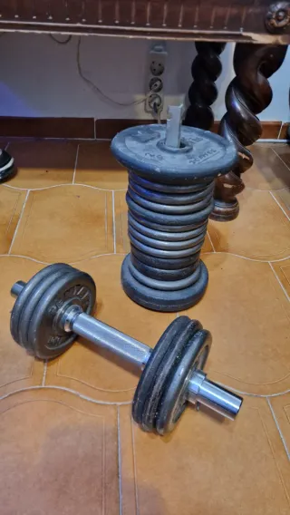 Mancuernas y discos de pesas