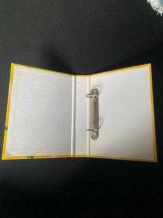 Archivador Fichas Pokémon Salvat