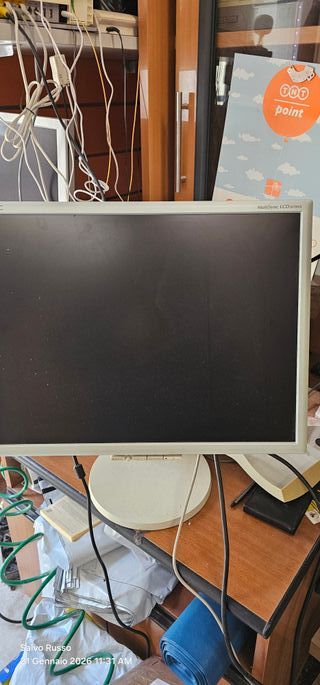 Monitor NEC MultiSync LCD2070NX