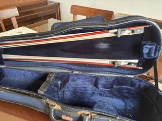 Viola Corina 13 pulgadas