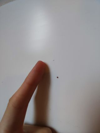 Escritorio LINNMON 100cm + 4 patas