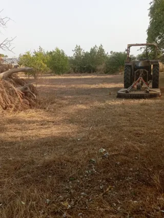 Trabajos de desbroce