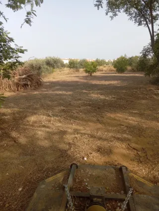 Trabajos de desbroce