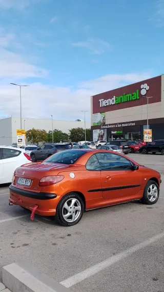 Peugeot 206 2002