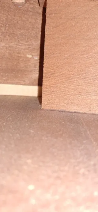 Guitarra Española Clásica