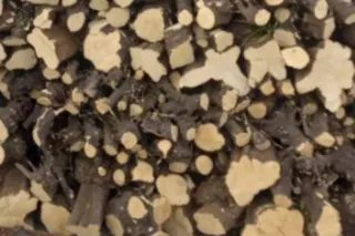 Leña para chimenea o barbacoa