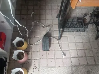 Máquinas de coser Alfa y Sigma