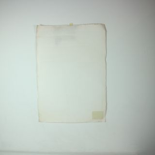 Litografia Edolo Masci 119/180 Piante