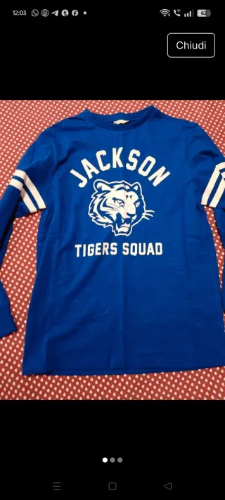 Maglietta Jackson Tigers Squad blu