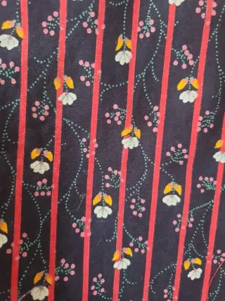 Delantal traje traje regional