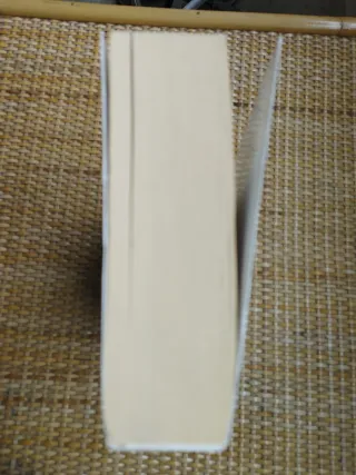 Lo que no te mata te hace más fuerte: Millennium 4